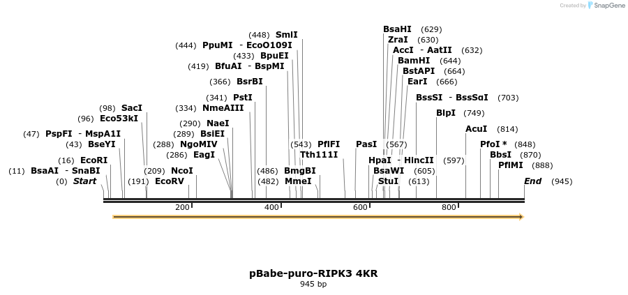 149313_map
