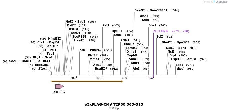 149315_map