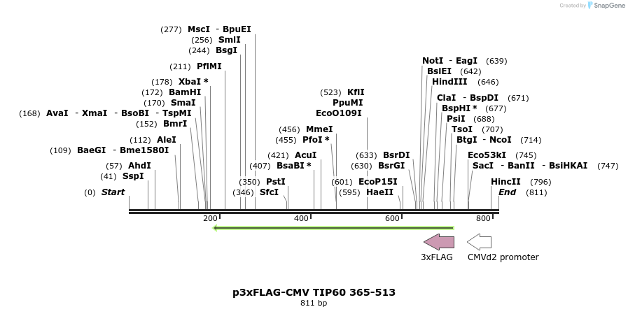 149318_map