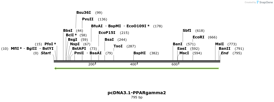 149321_map