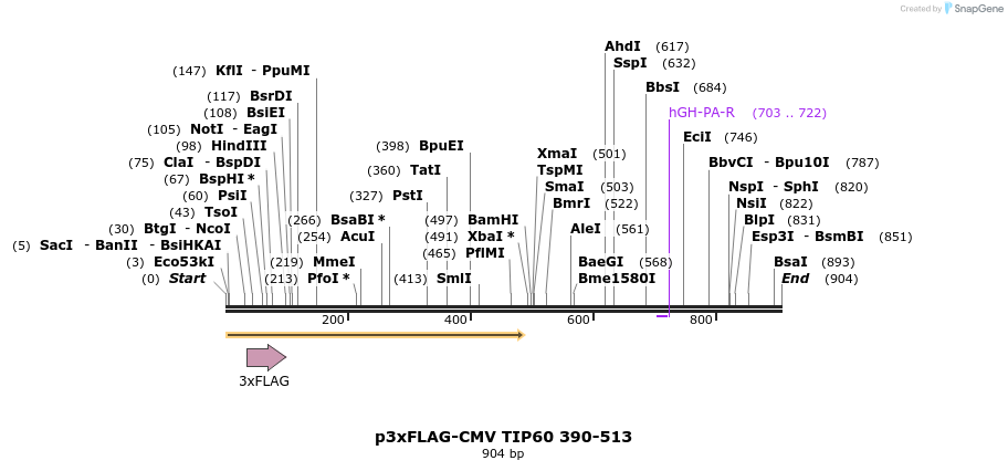 149322_map