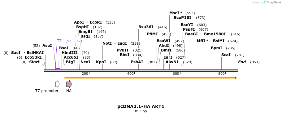 149323_map