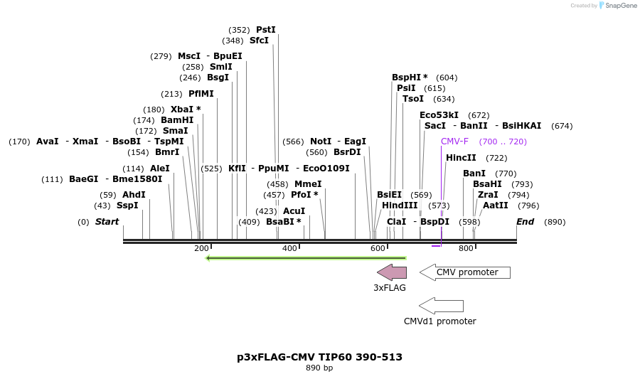 149324_map