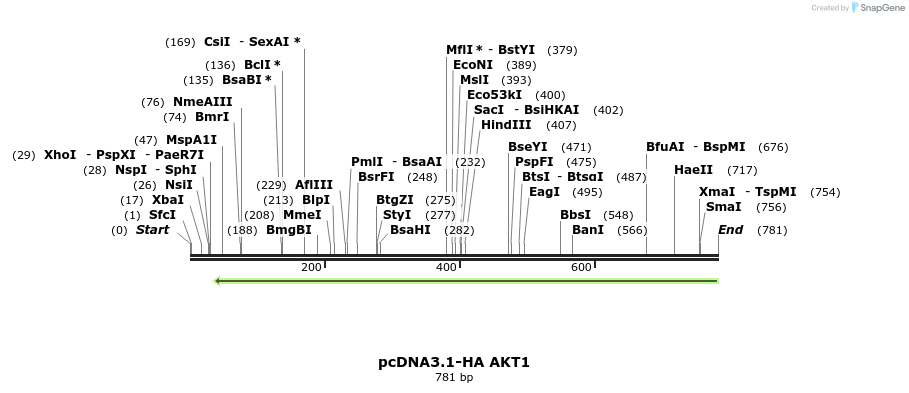 149325_map