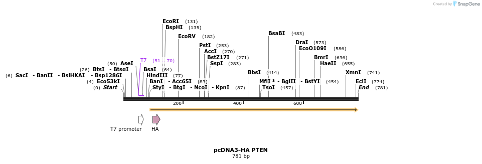 149331_map