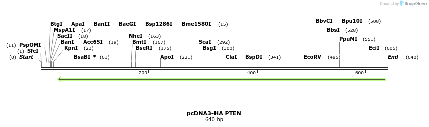 149333_map