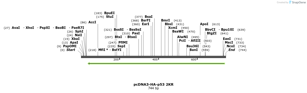 149336_map