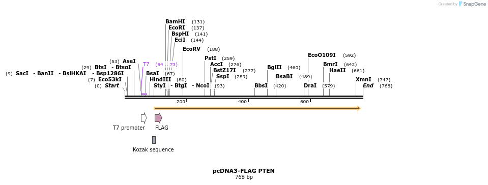 149338_map