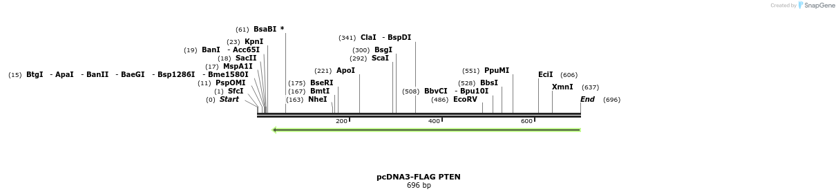 149339_map