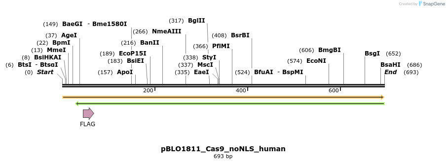 149345_map
