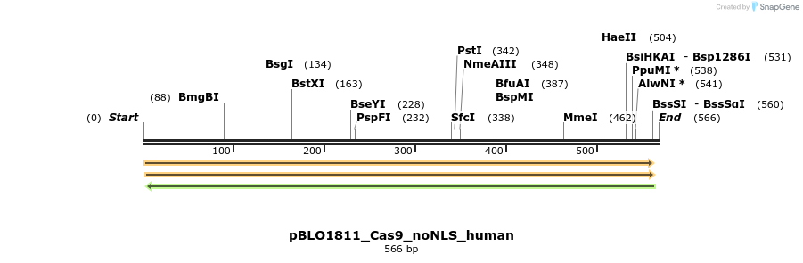 149346_map