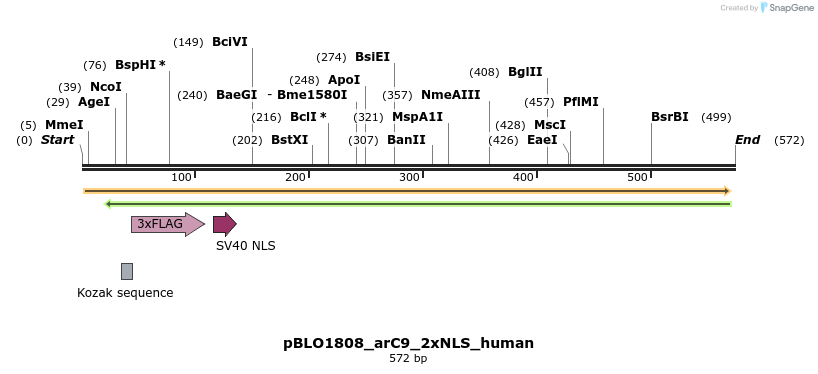 149347_map