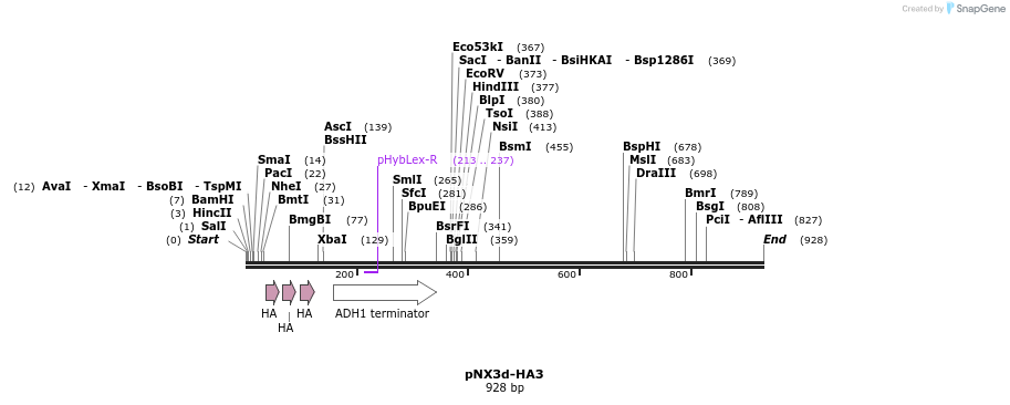 149352_map