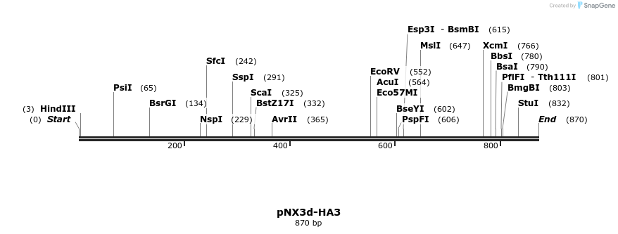 149353_map
