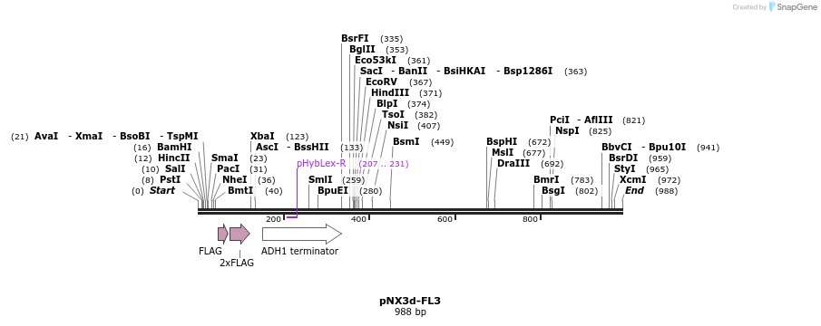 149356_map