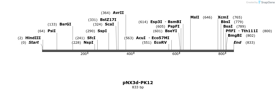 149358_map