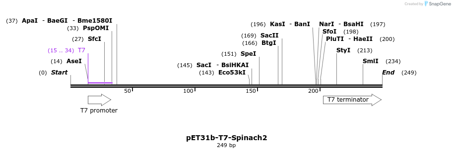 149363_map