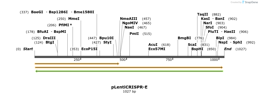 149388_map