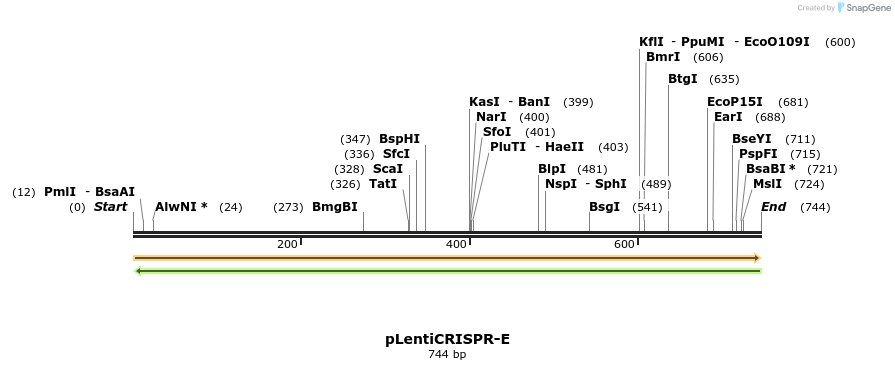 149389_map