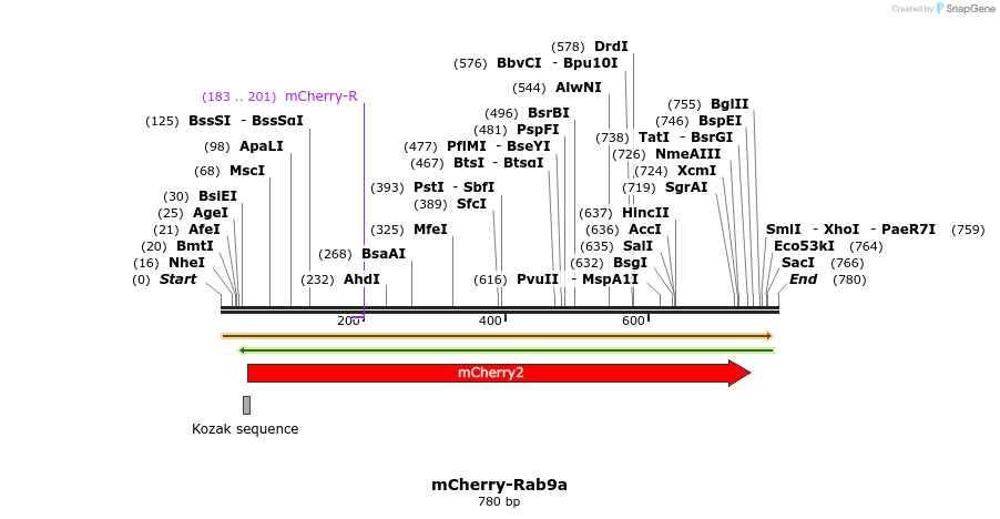 149395_map