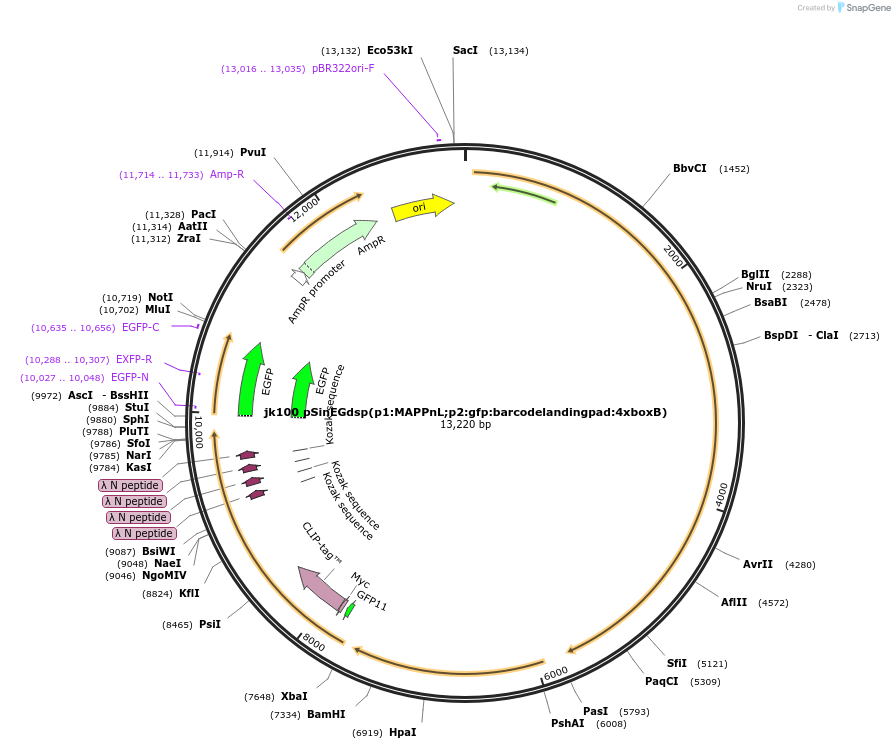 149396_map