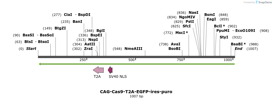 149425_map