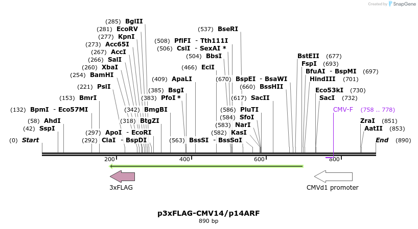 149433_map