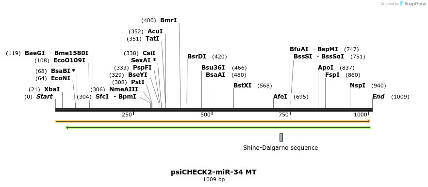 149439_map