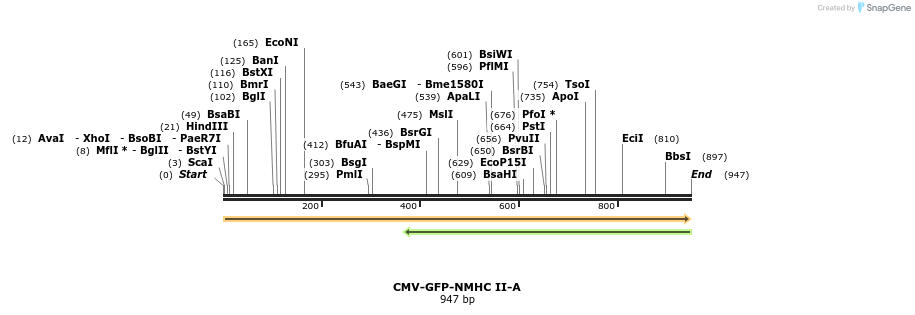149441_map