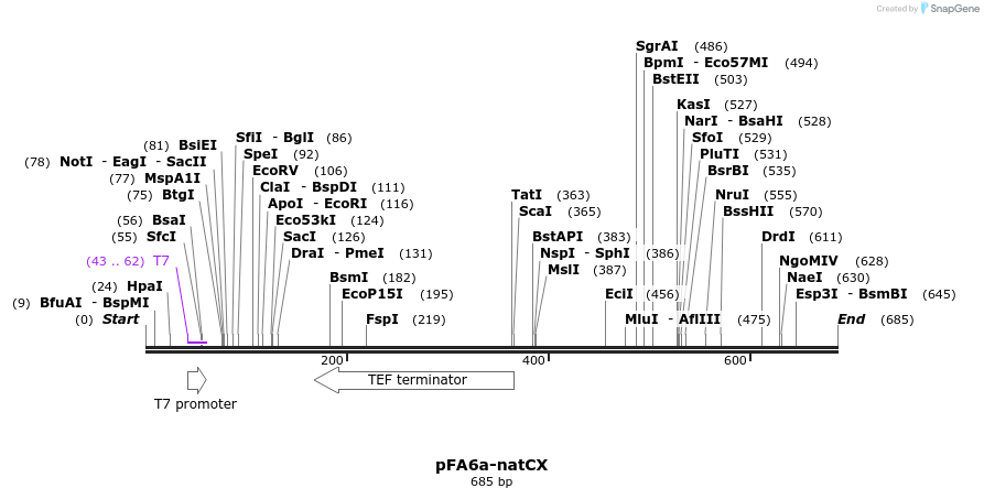 149445_map
