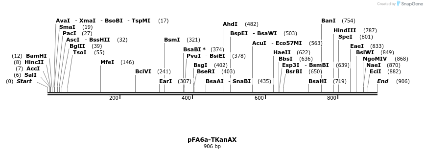 149447_map
