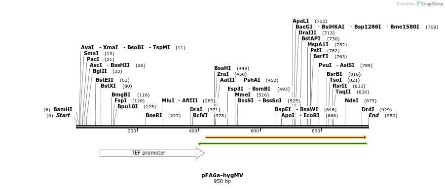 149454_map