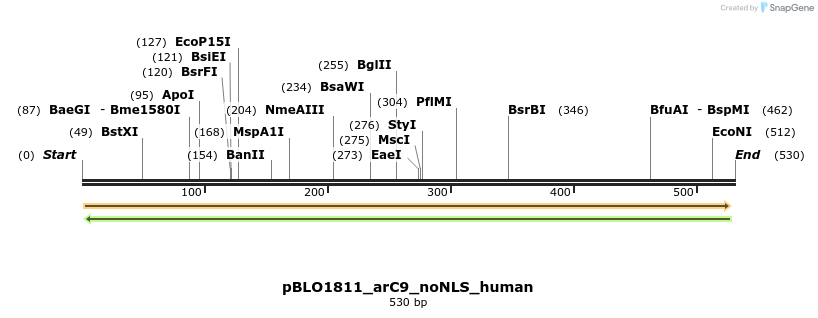 149455_map