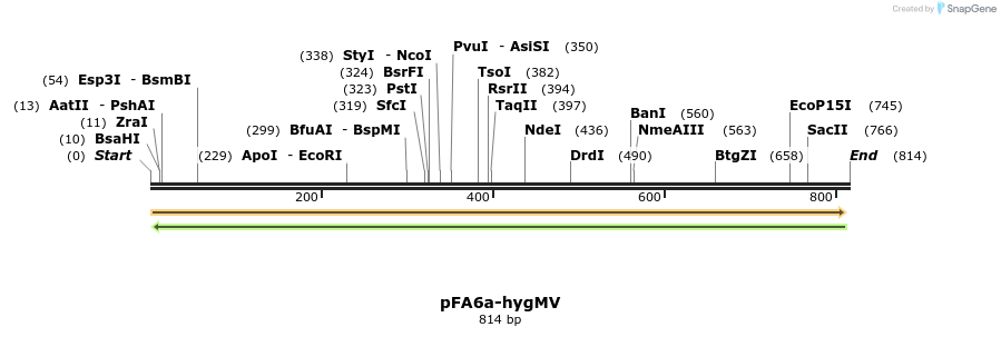 149457_map