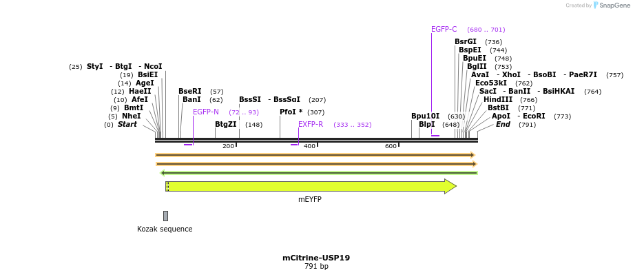 149461_map