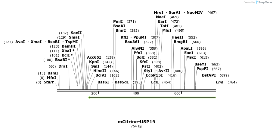 149462_map
