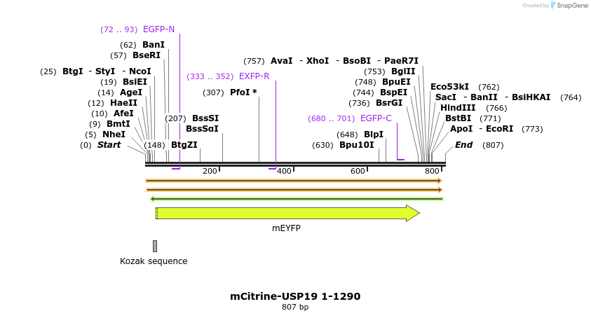 149465_map