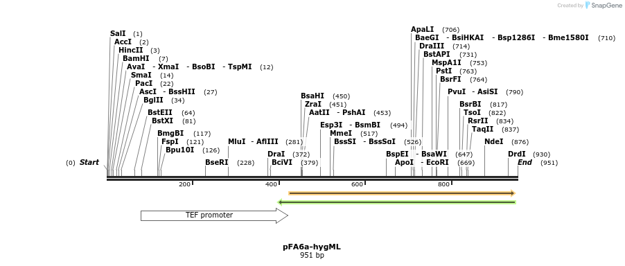 149473_map