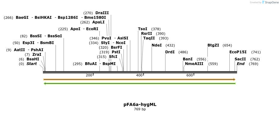 149474_map