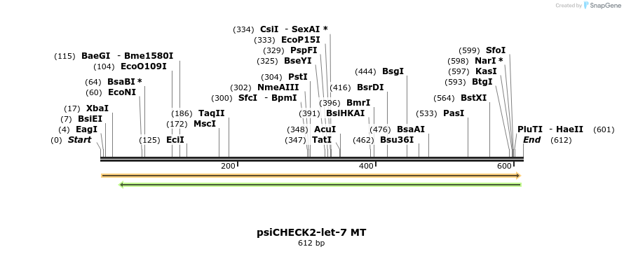 149477_map