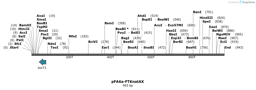 149483_map