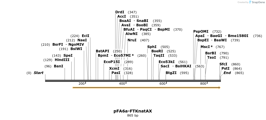 149484_map