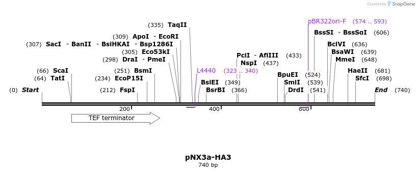 149486_map