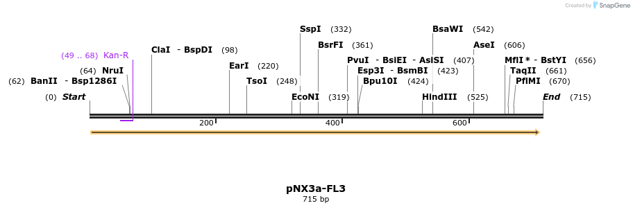 149490_map
