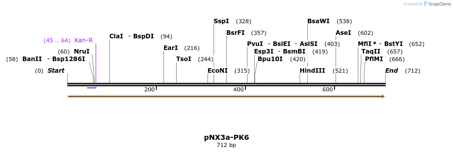 149492_map