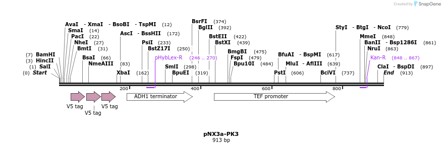 149493_map
