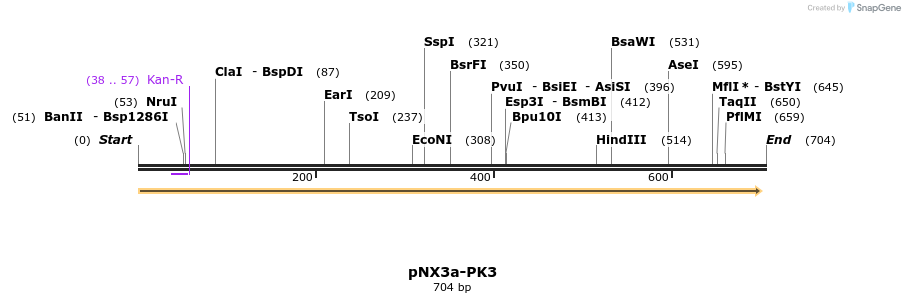 149494_map