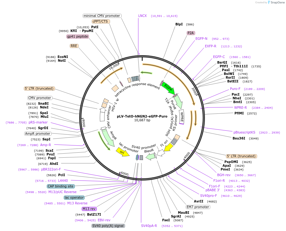 149508_map