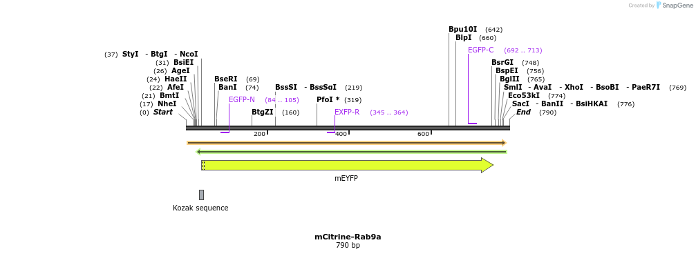 149513_map