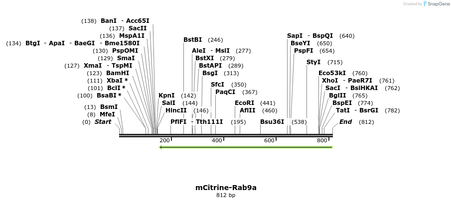 149514_map